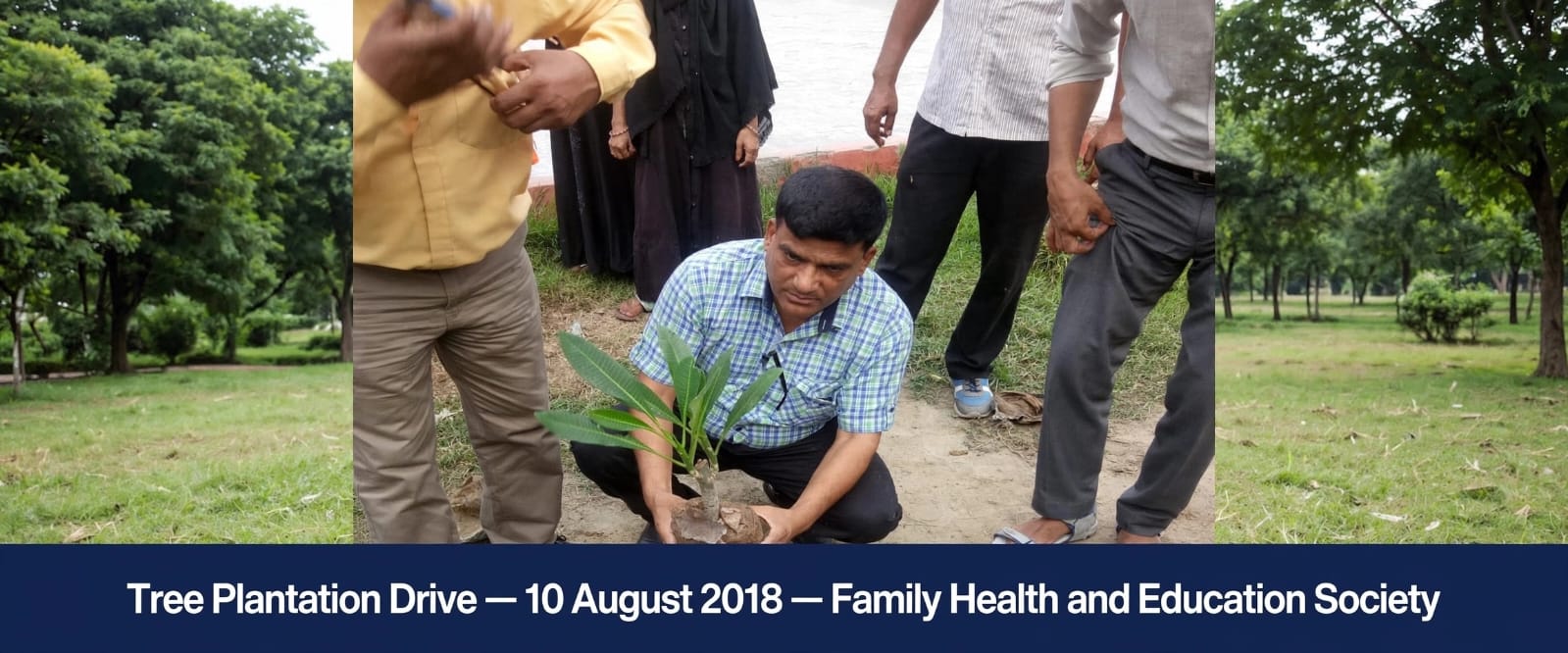 Tree Plantation Drive